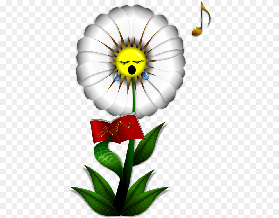 Common Daisy Cartoon Download Singing, Flower, Plant, Flower Arrangement, Anemone Png Image