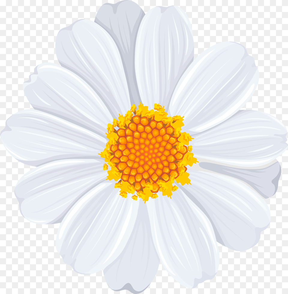 Common Daisy Clip Art, Cannon, Weapon, Machine, Wheel Free Png Download