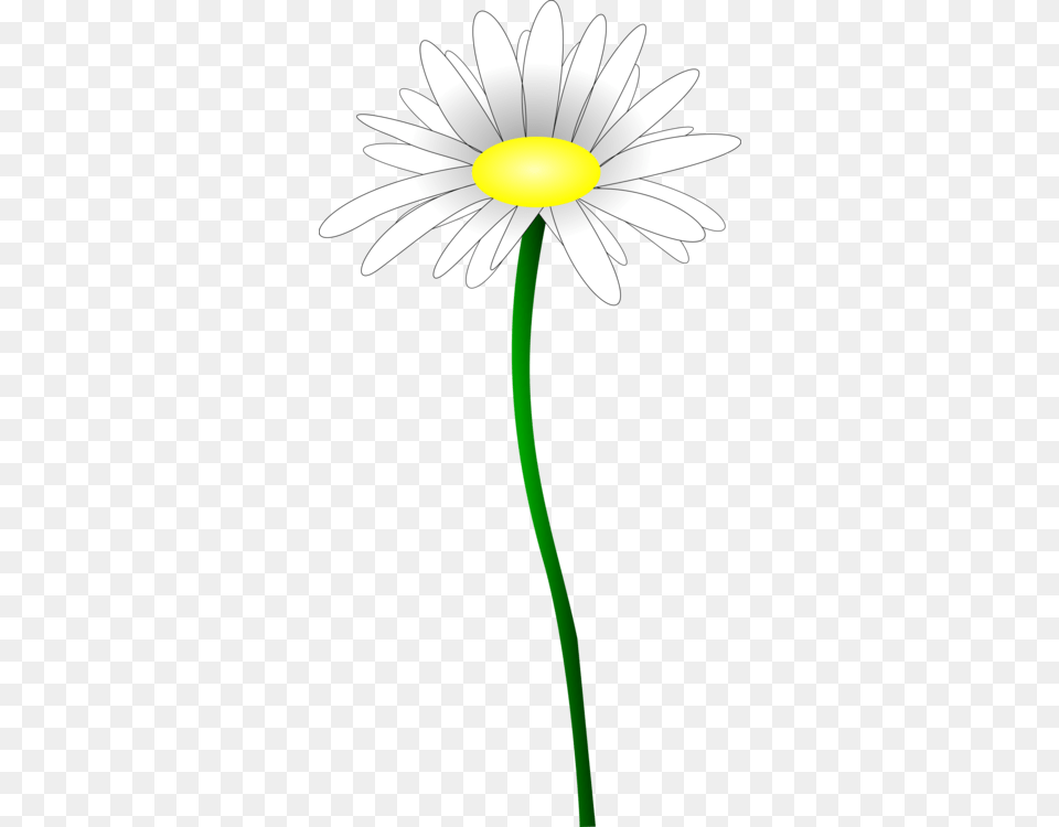 Common Daisy Oxeye Daisy Petal Line Plant Stem, Flower, Blade, Dagger, Knife Free Transparent Png