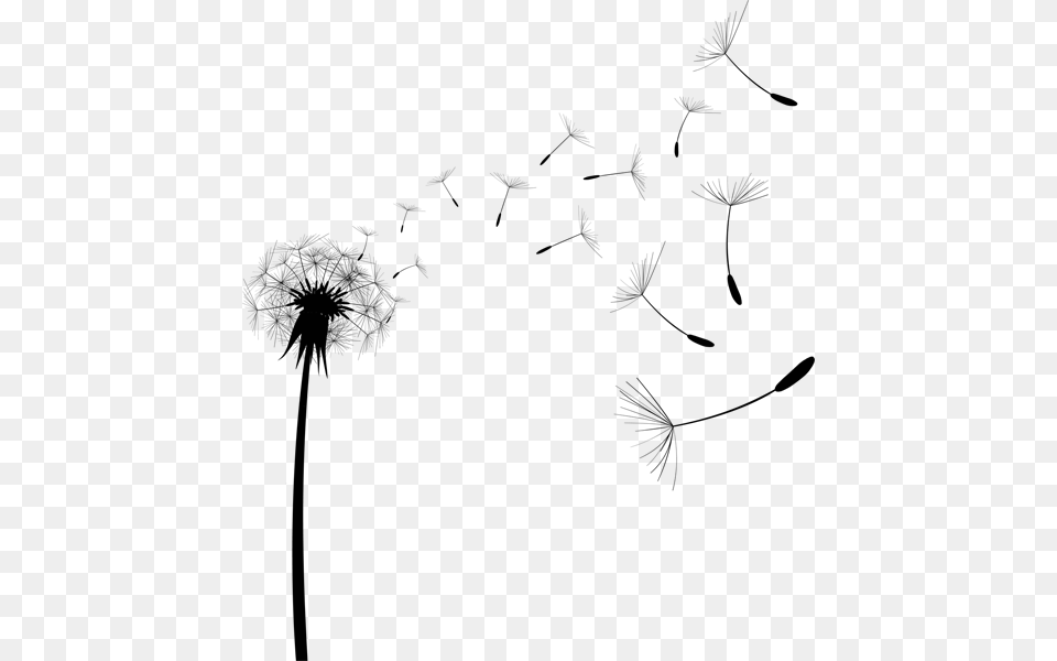 Common Dandelion Pissenlit Tattoo, Cross, Lighting, Symbol, Silhouette Free Png Download