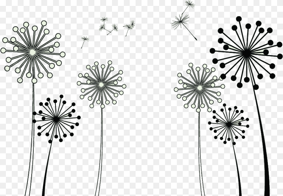 Common Dandelion Taraxacum Platycarpum Clip Art Dandelions Clipart, Flower, Plant Png