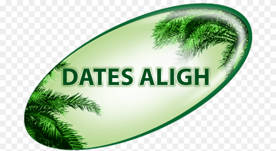 Common Dates Dates, Green, Tree, Rainforest, Plant Free Png Download