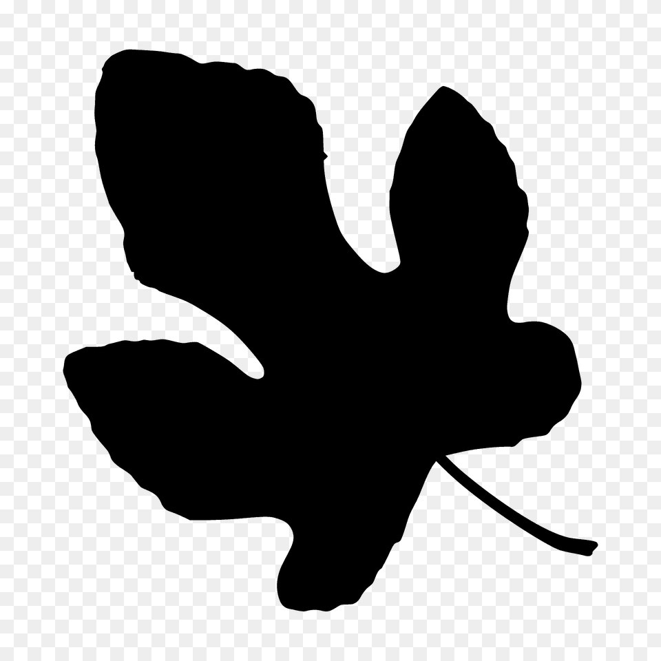 Common Fig Leaf Silhouette, Plant, Stencil, Animal, Fish Free Transparent Png