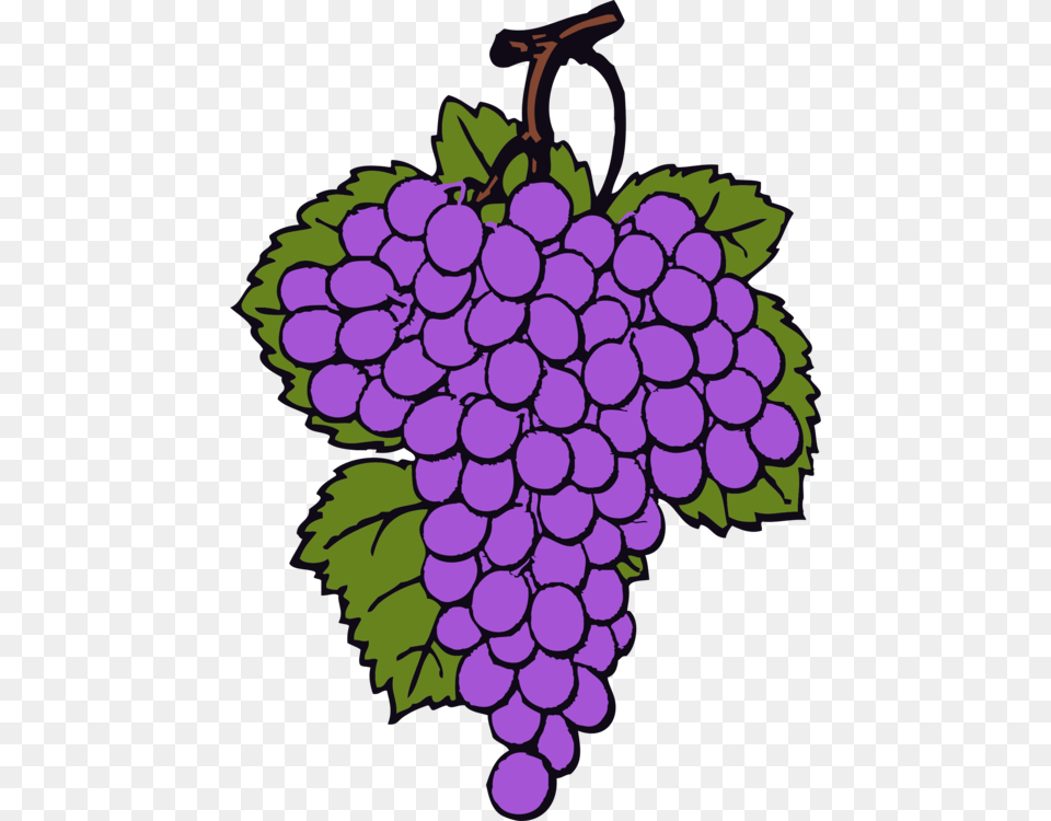 Common Grape Vine Wine Raisin, Food, Fruit, Grapes, Plant Free Png Download