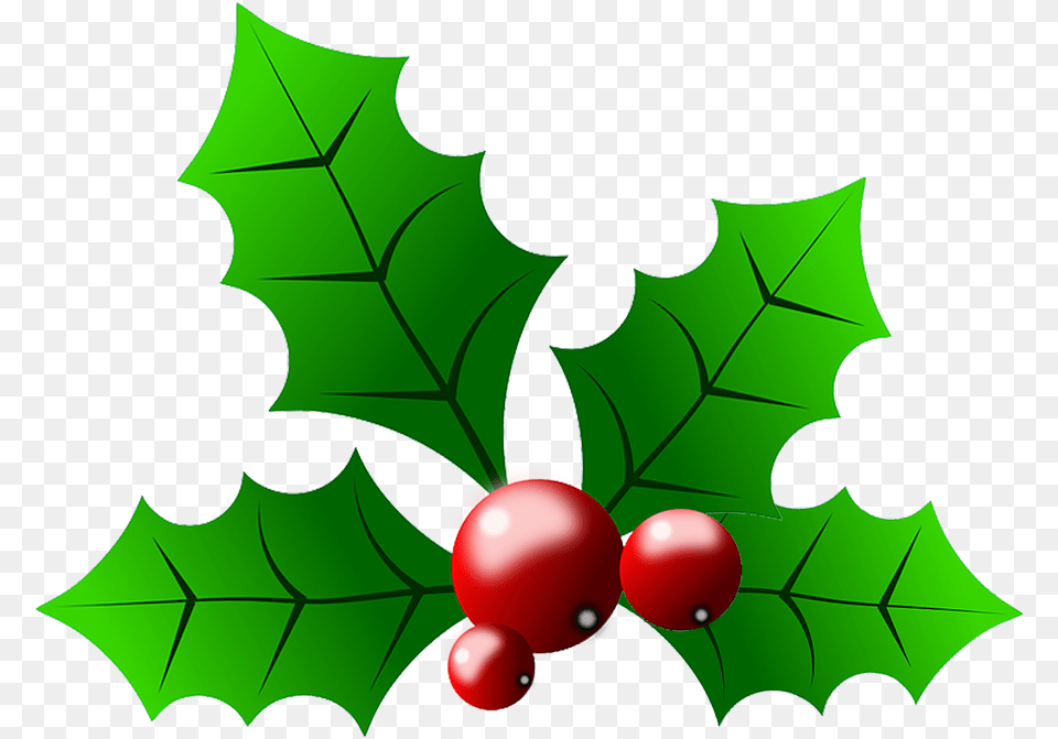 Common Holly Christmas Clip Art Holly And Berries Clip Art, Leaf, Plant, Food, Fruit Free Png