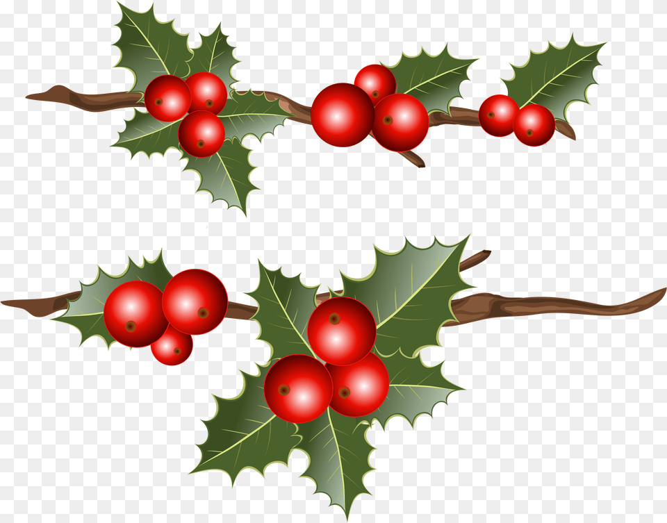 Common Holly Christmas Mistletoe Clip Art Holly Branches Holly Berry, Leaf, Plant, Food, Fruit Png Image