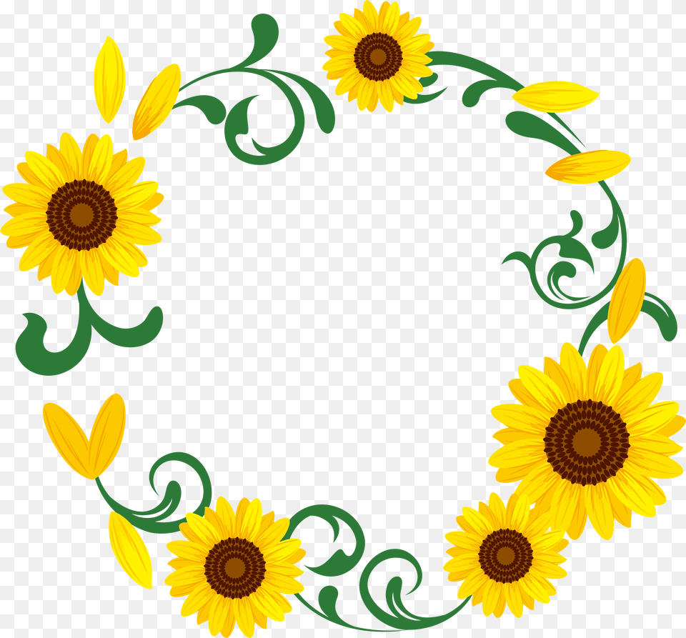 Common Illustration Transprent, Flower, Plant, Sunflower, Pattern Free Transparent Png