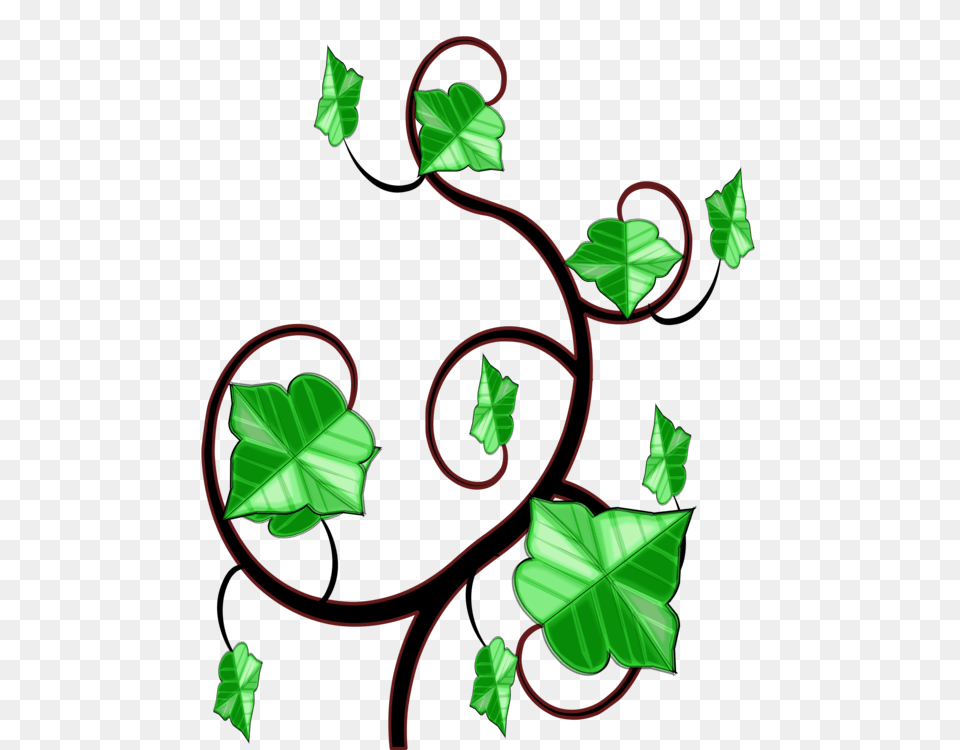 Common Ivy Computer Icons Vine Drawing, Art, Floral Design, Graphics, Pattern Png Image