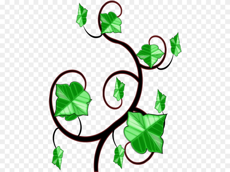Common Ivy Computer Icons Vine Drawing Clipart Ivy, Art, Graphics, Plant, Leaf Free Transparent Png