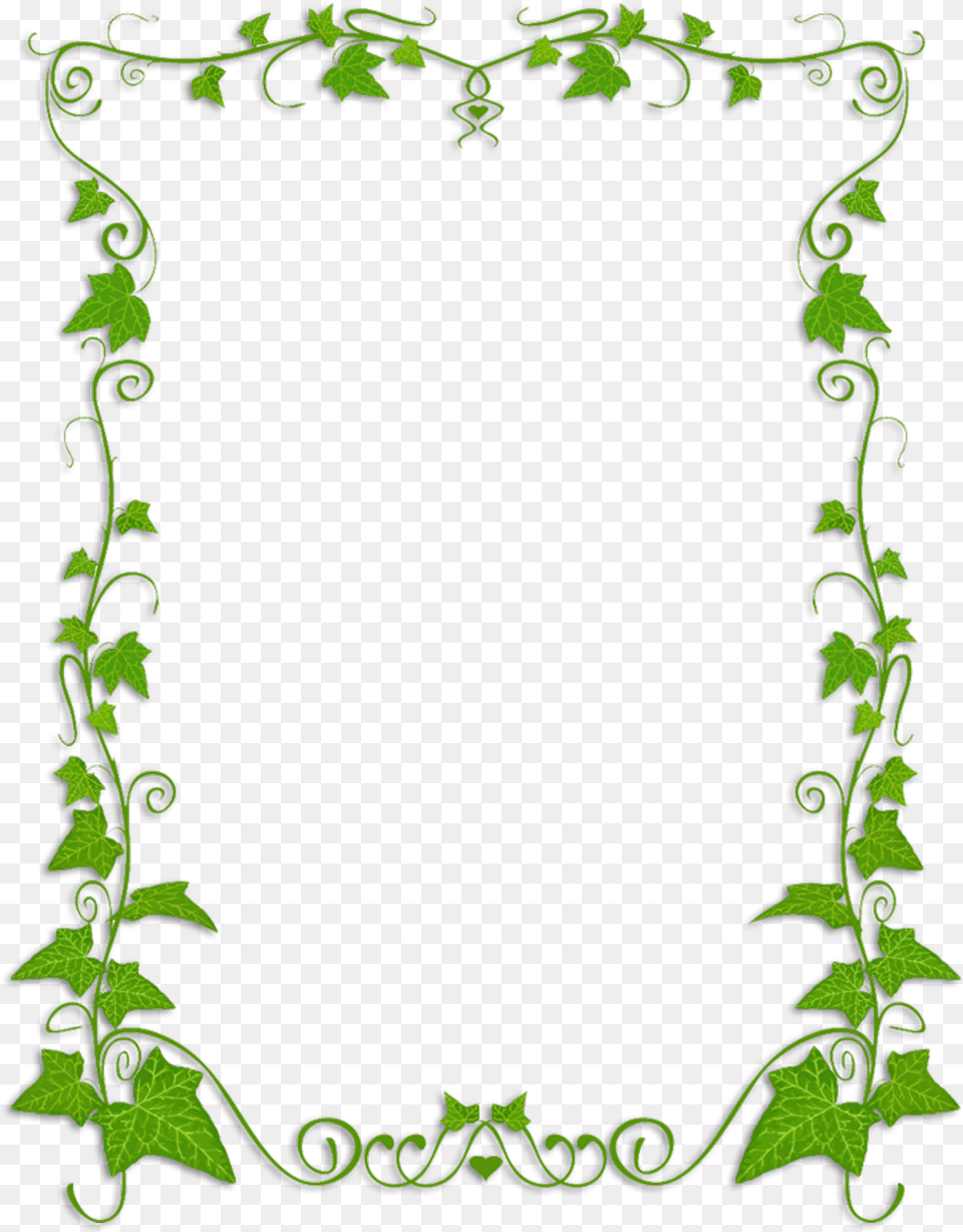 Common Ivy Plant Vine Clip Art Background Vine Borders Free Transparent Png