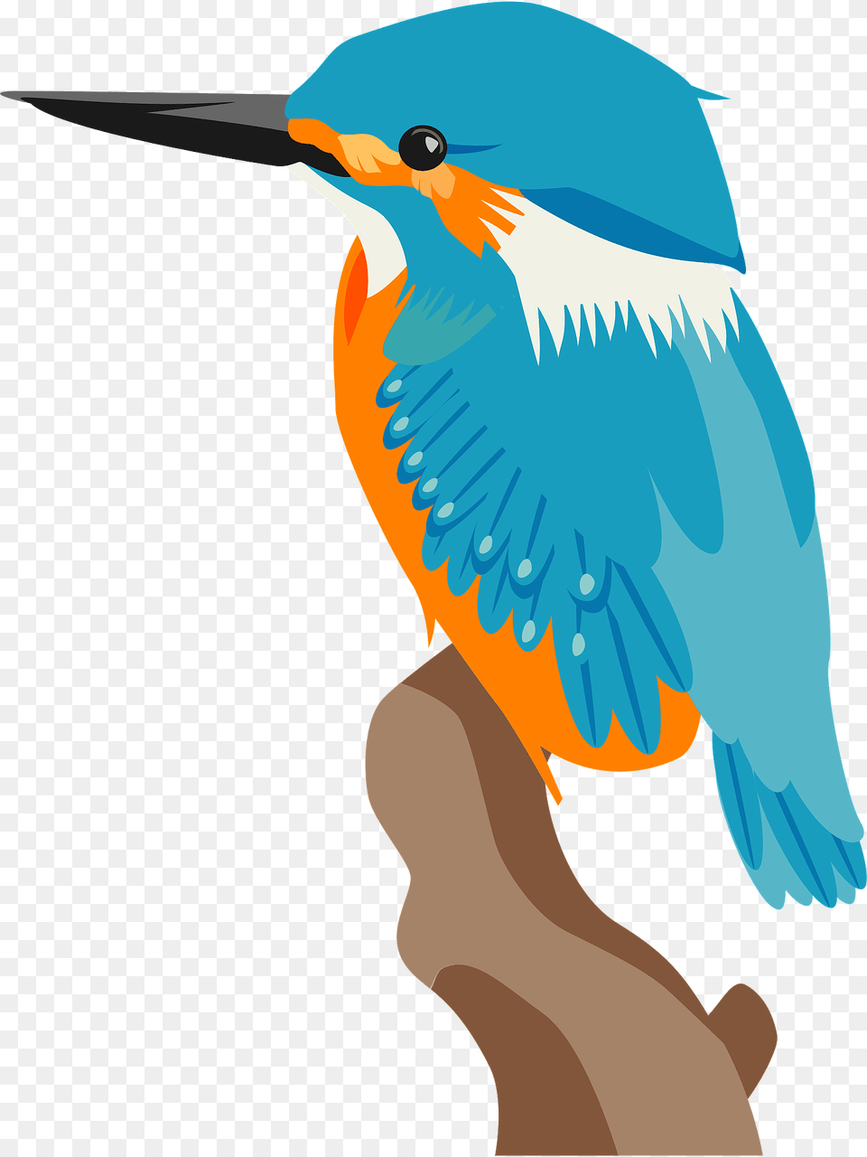 Common Kingfisher Bird Clipart, Animal, Beak, Bee Eater, Jay Free Png
