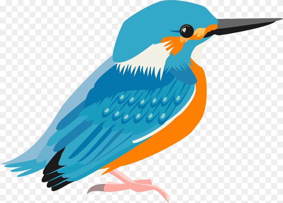 Common Kingfisher Bird Clipart, Animal, Beak, Fish, Sea Life Free Png Download