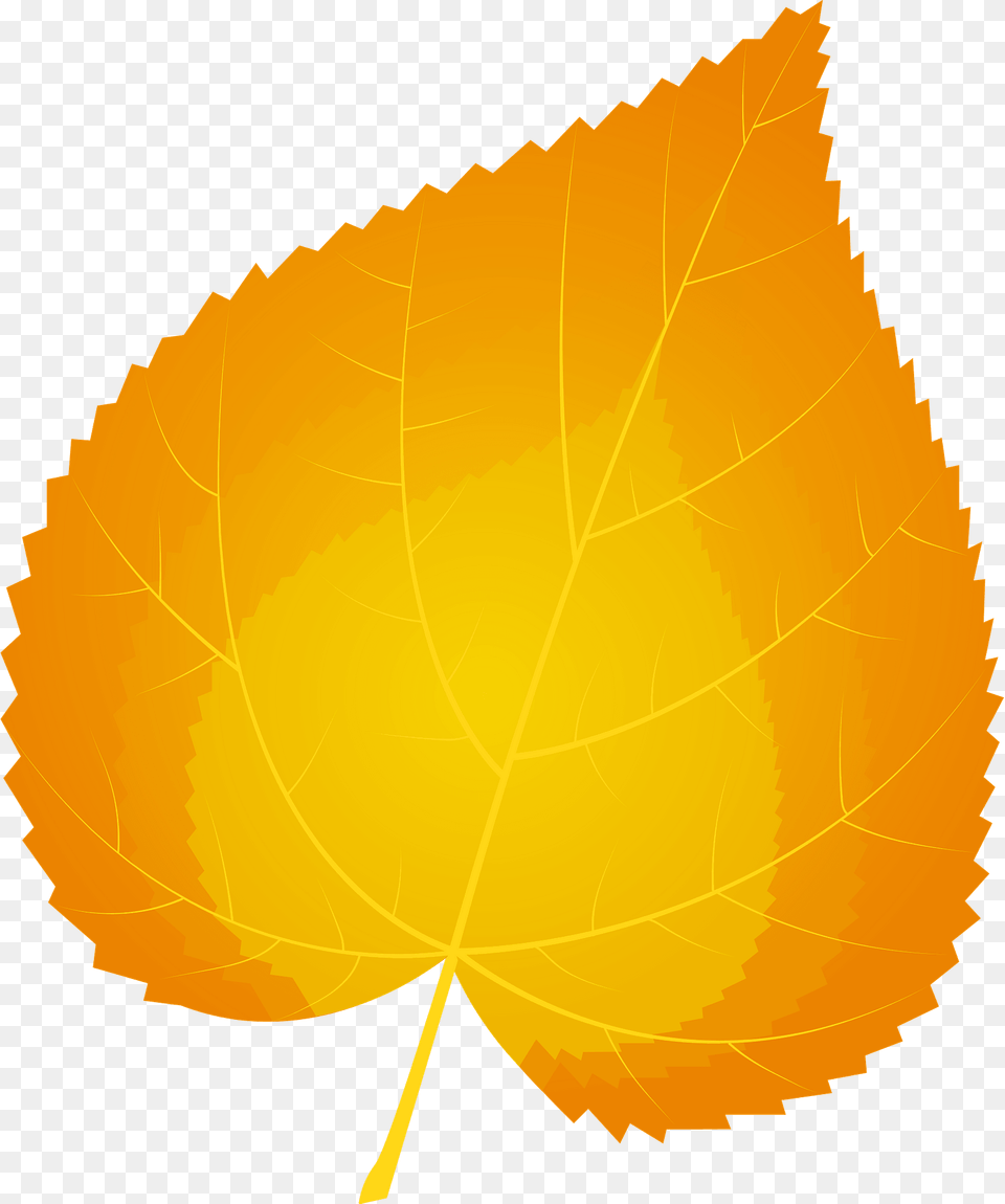 Common Lime Autumn Leaf Clipart, Plant, Tree, Maple Leaf, Animal Free Png Download