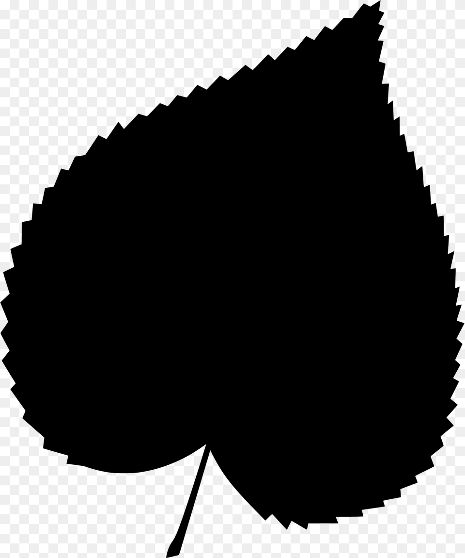 Common Lime Leaf Silhouette, Plant Png Image