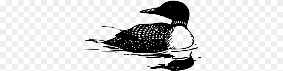 Common Loon Computer Icons Download Silhouette Art Loon Clipart, Gray Free Png