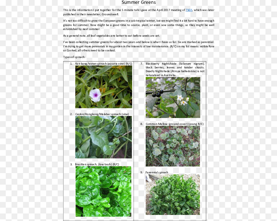 Common Mallow Sea Beet, Art, Collage, Plant, Herbal Png