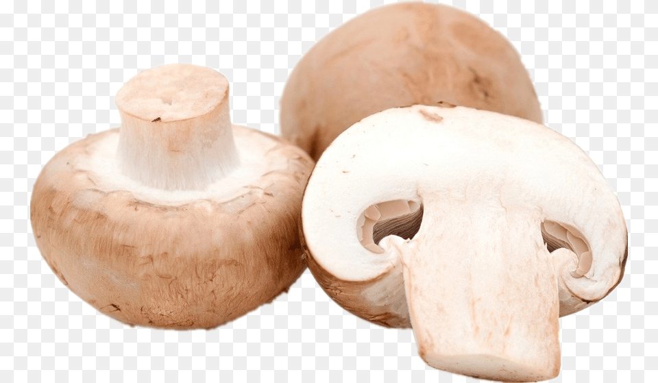 Common Mushroom, Fungus, Plant, Bread, Food Png