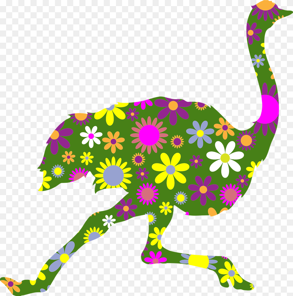 Common Ostrich, Animal, Bird, Art, Dinosaur Free Transparent Png