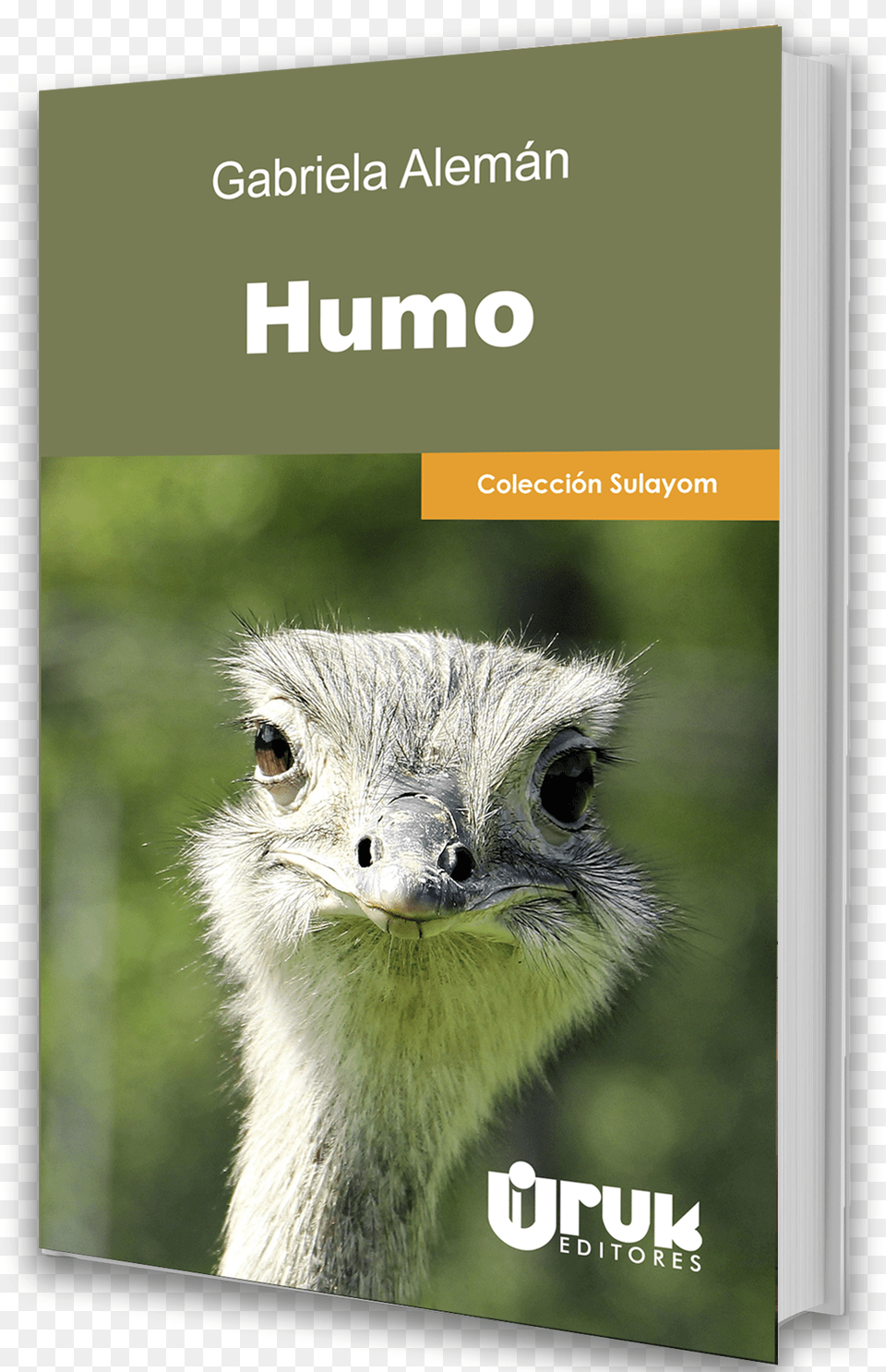 Common Ostrich, Animal, Bird, Beak Png Image