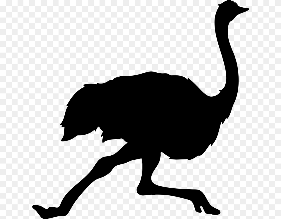 Common Ostrich Bird Tattoo Clip Art Silhouette Emu, Gray Free Png
