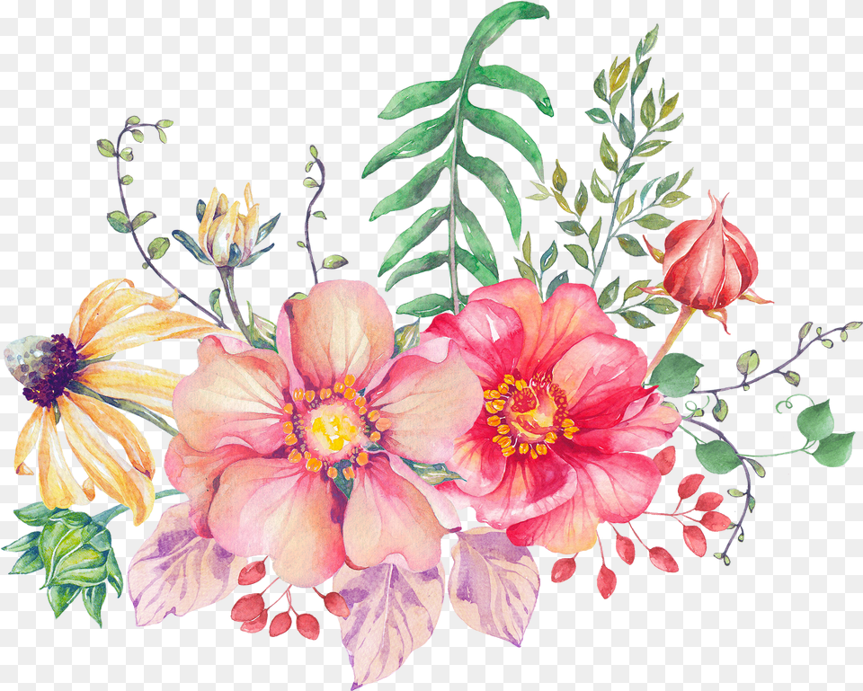 Common Peony, Art, Plant, Pattern, Graphics Free Png Download