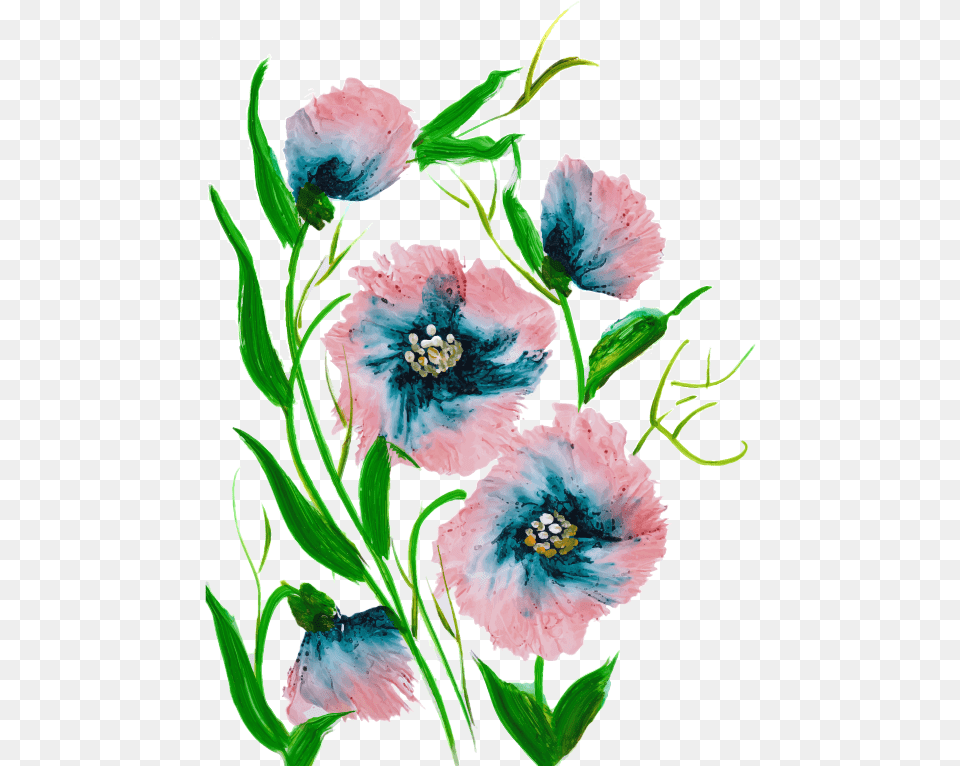 Common Peony, Flower, Plant, Pattern, Anemone Png Image