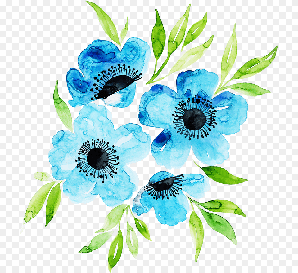 Common Peony, Anemone, Flower, Plant, Pattern Png