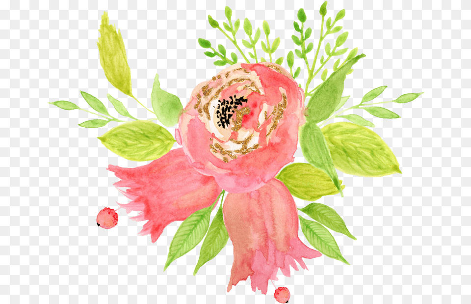 Common Peony, Plant, Flower, Rose, Flower Arrangement Free Png