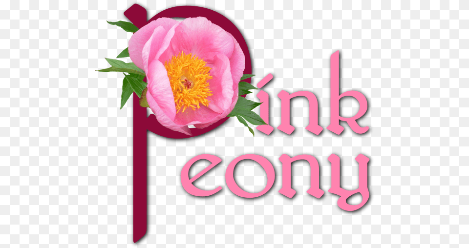 Common Peony, Flower, Plant, Rose, Anther Png Image