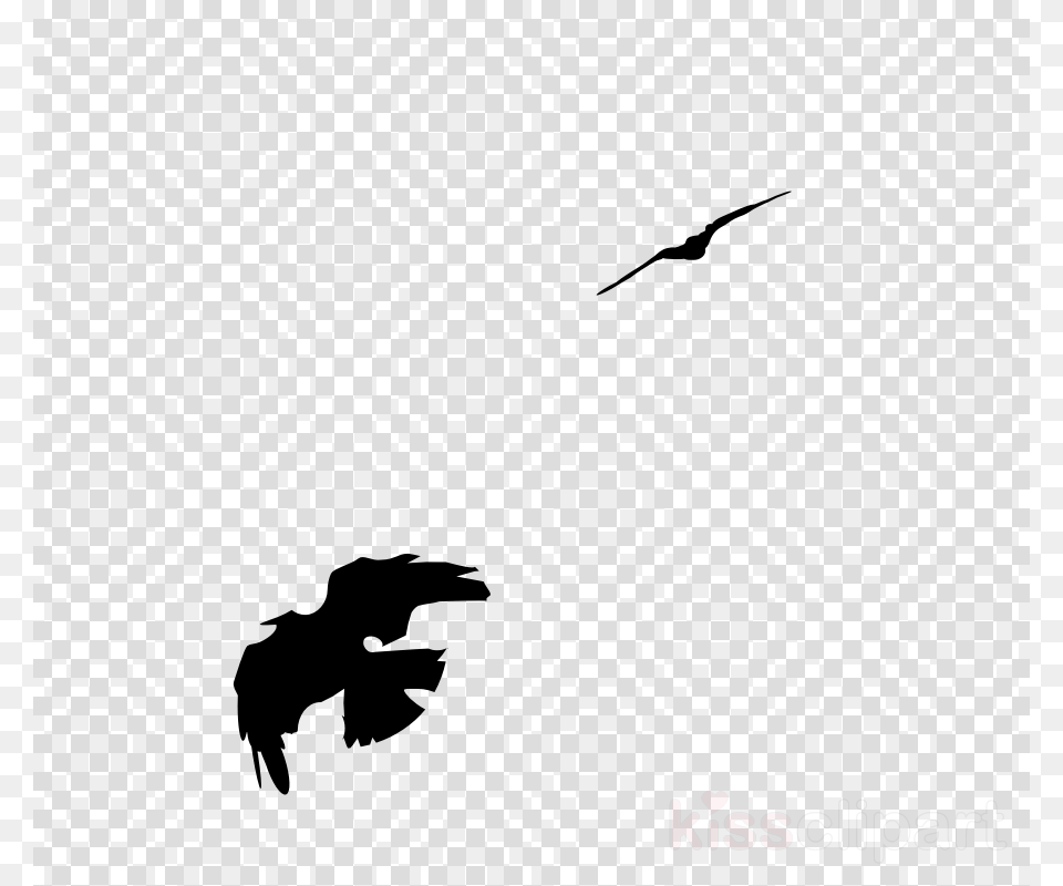 Common Raven Clipart American Crow Bird Rook Transparent Background Sports, Pattern, Home Decor, Silhouette, Qr Code Png Image