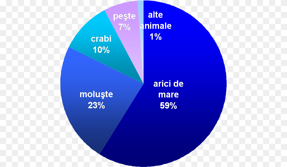 Common Sea Otter Food Distribution Ro Circle, Disk, Chart, Pie Chart Png