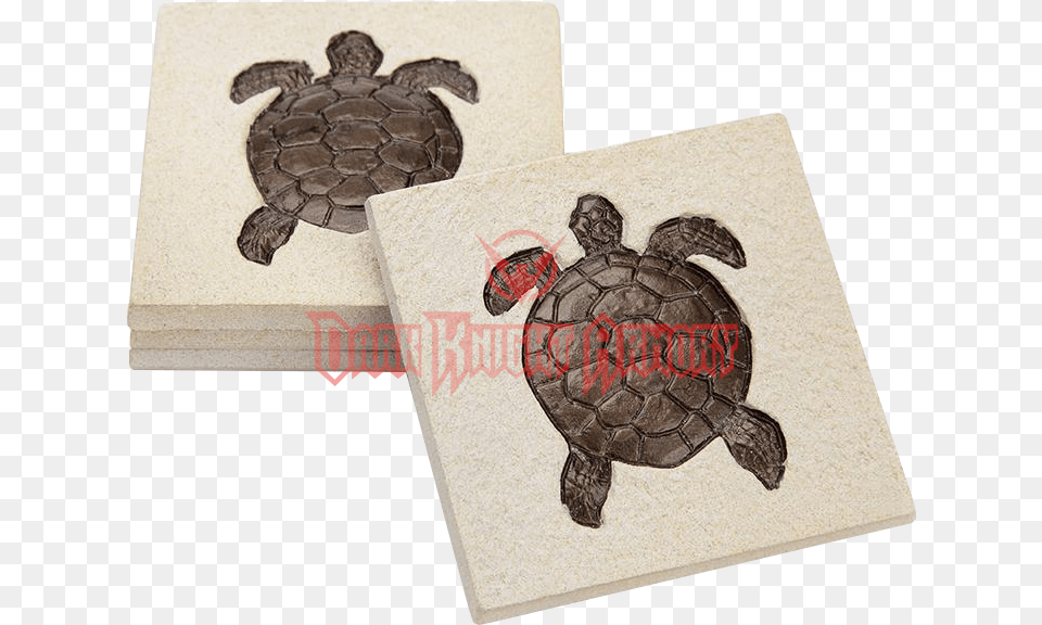 Common Snapping Turtle, Animal, Reptile, Sea Life, Tortoise Free Png