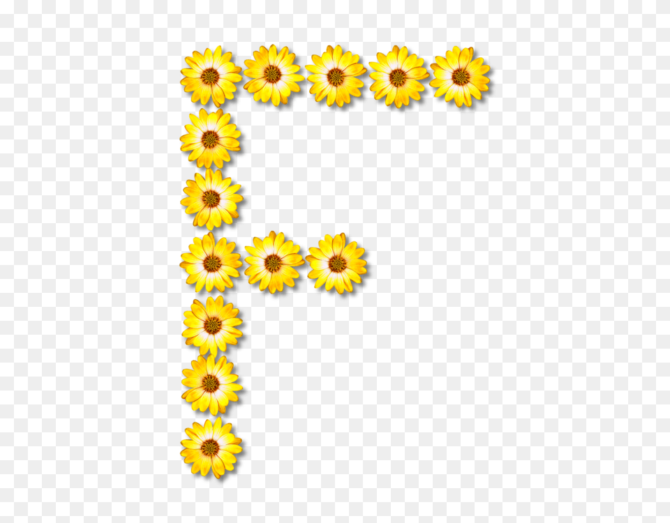 Common Sunflower Alphabet Petal Floral Design, Daisy, Flower, Plant Png