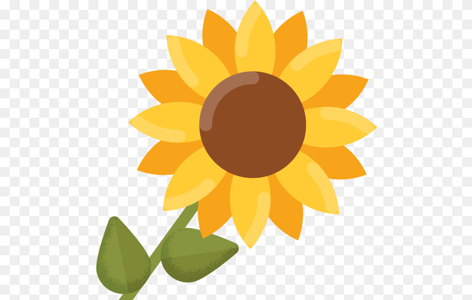 Common Sunflower Clip Art Sun Flower Download 618 Sunflower Clipart Transparent Background, Plant Free Png