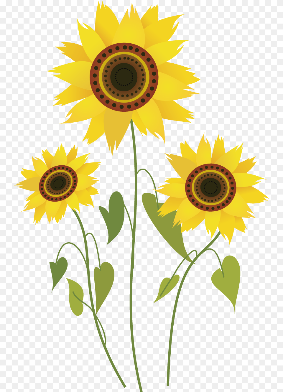 Common Sunflower Drawing Computer File Sunflower Plant Drawing, Flower Free Transparent Png