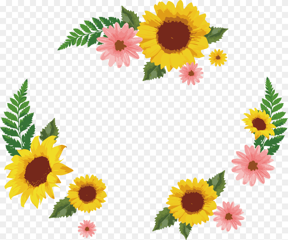 Common Sunflower Euclidean Icon Sunflower Floral Vector, Daisy, Flower, Plant, Pattern Png Image
