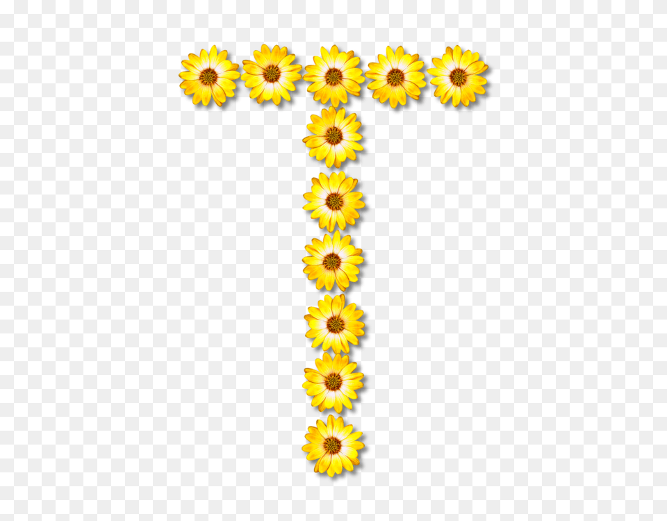 Common Sunflower Letter Daisy Family Petal, Flower, Plant, Cross, Symbol Png