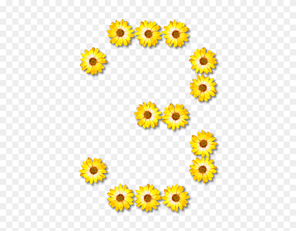 Common Sunflower Number Line Art Letter, Daisy, Flower, Petal, Plant Free Png