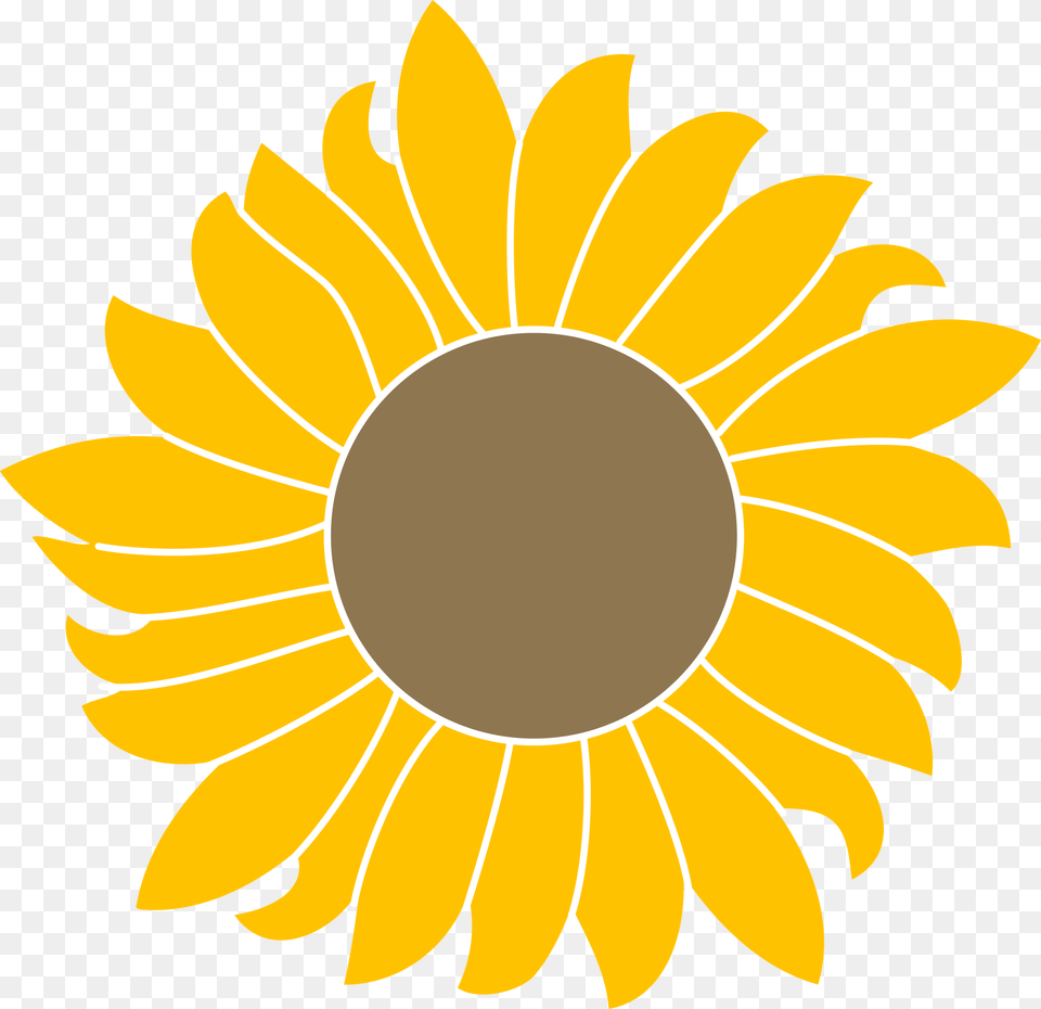 Common Sunflower Scalable Vector Graphics Portable Logo Mediawiki, Flower, Plant Png