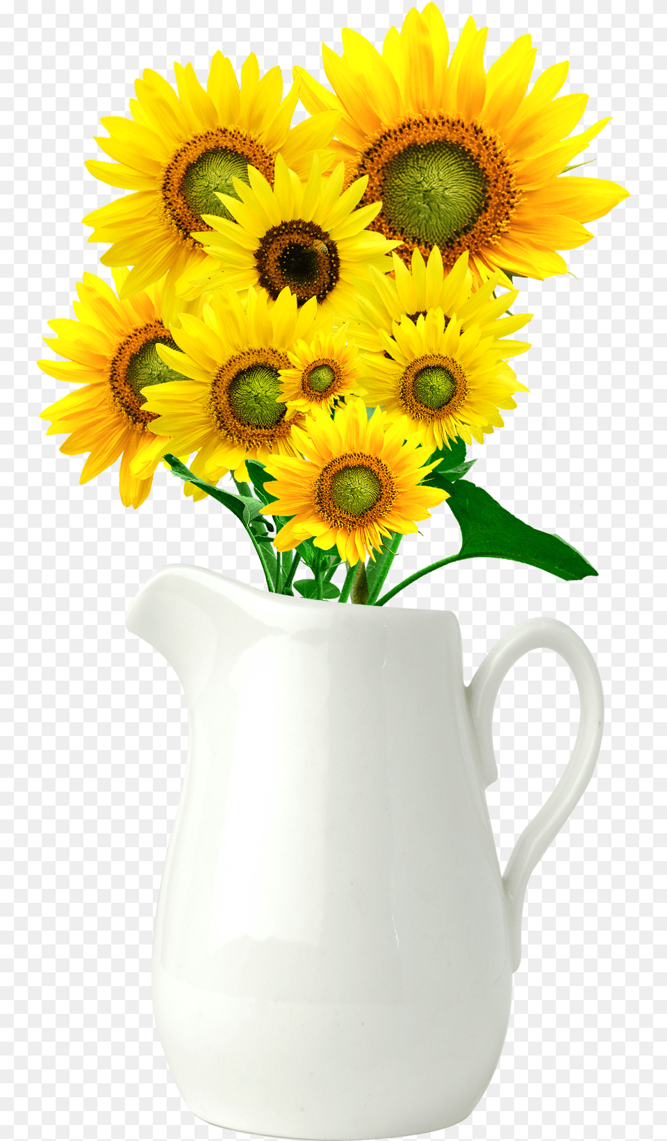 Common Sunflower Vase Sunflower Vase Background, Flower, Flower Arrangement, Plant, Flower Bouquet Png Image