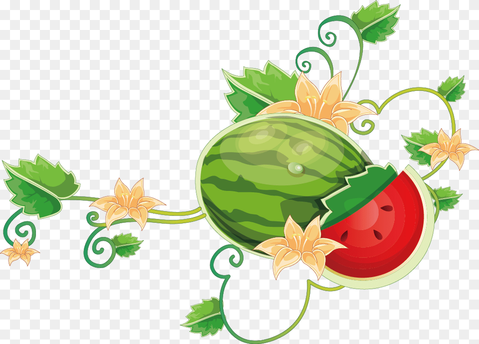 Common Vine Wine Cartoon Transprent Watermelon On Vine Clipart, Food, Fruit, Plant, Produce Png Image