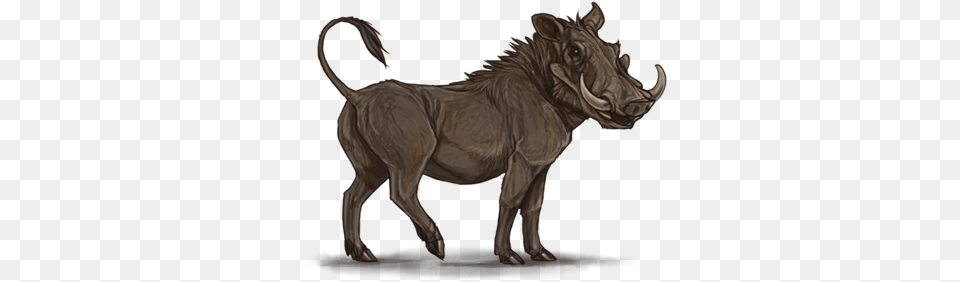 Common Warthog Lion Pig Hyena Mane Warthog, Animal, Mammal, Wildlife, Dog Free Png Download