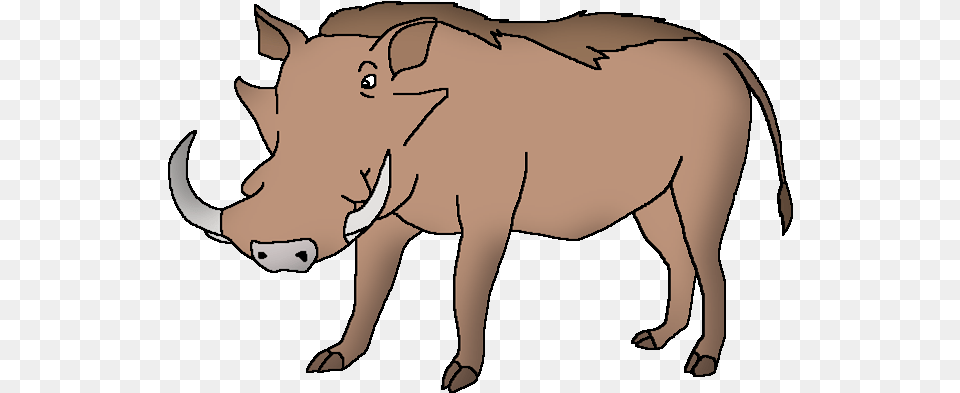 Common Warthog Wildlife Animal Pedia, Mammal, Person, Face, Head Png