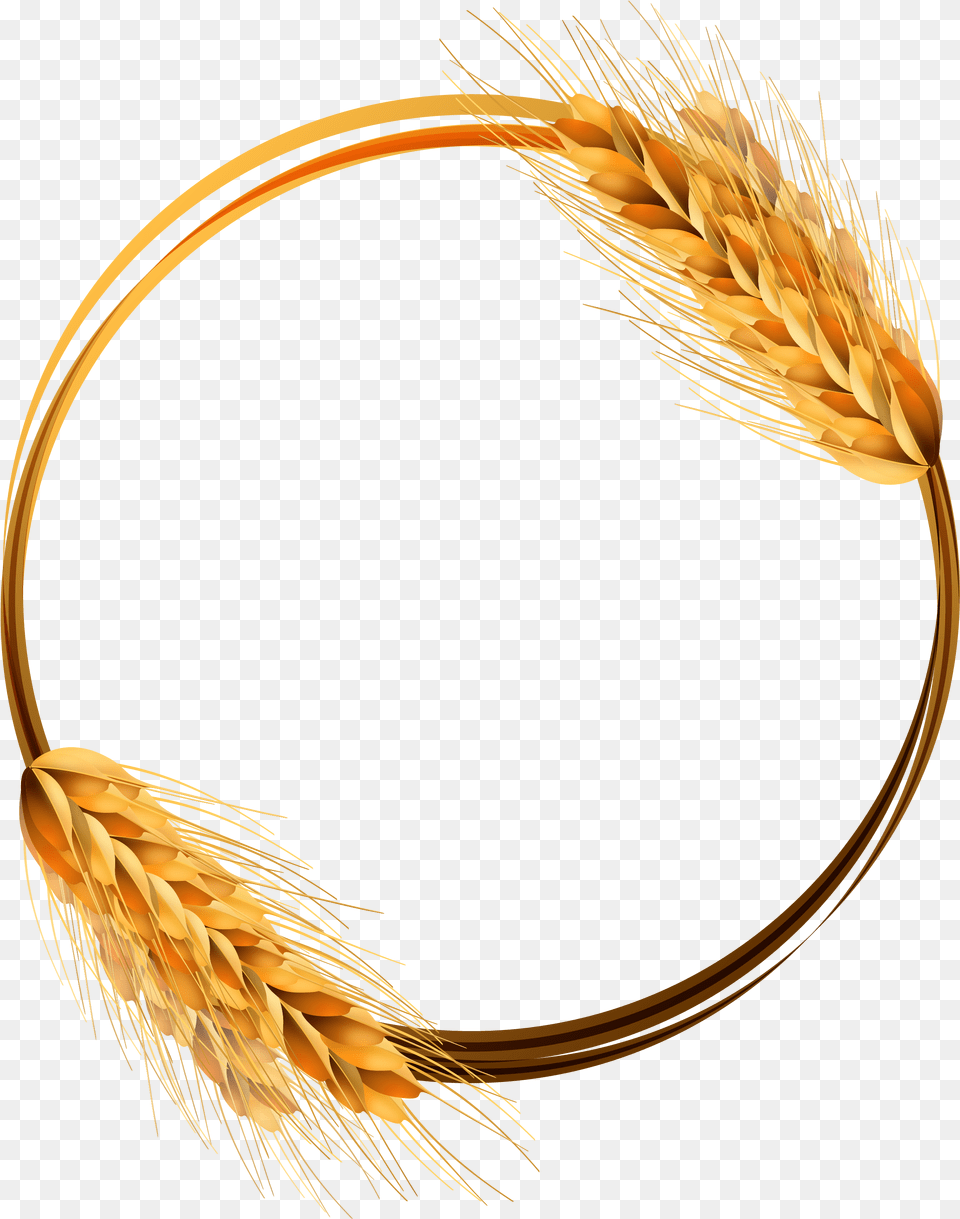 Common Wheat Ear Crop, Food, Grain, Produce, Chandelier Free Png Download