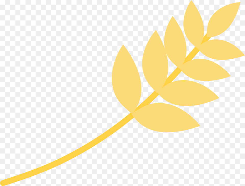 Communion Communion First, Leaf, Plant, Flower, Astragalus Free Transparent Png