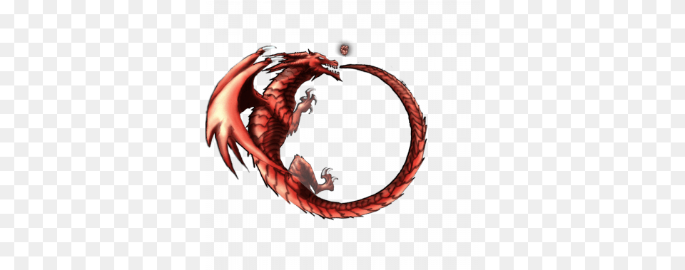 Community Compass Overhaul Dragon, Animal, Reptile, Snake Free Transparent Png