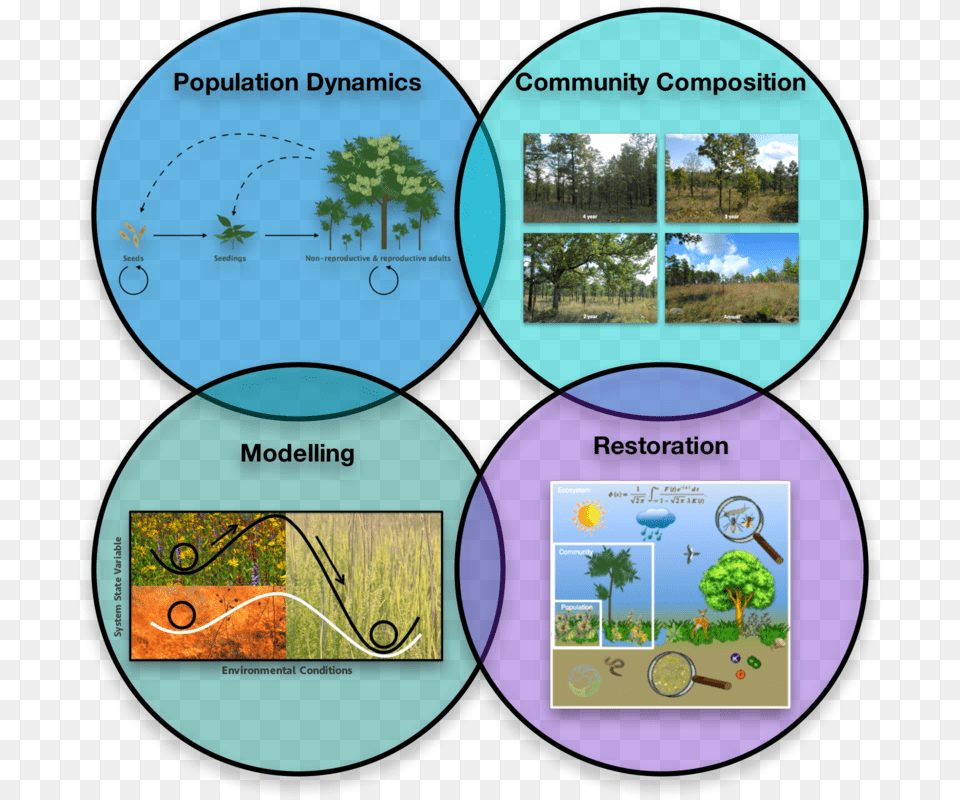 Community Dynamics In Ecology, Plant, Vegetation, Grass, Outdoors Free Transparent Png