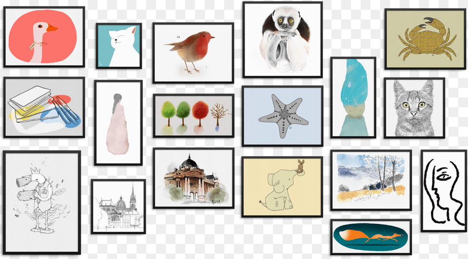 Community Frames, Art, Collage, Animal, Bird Free Png