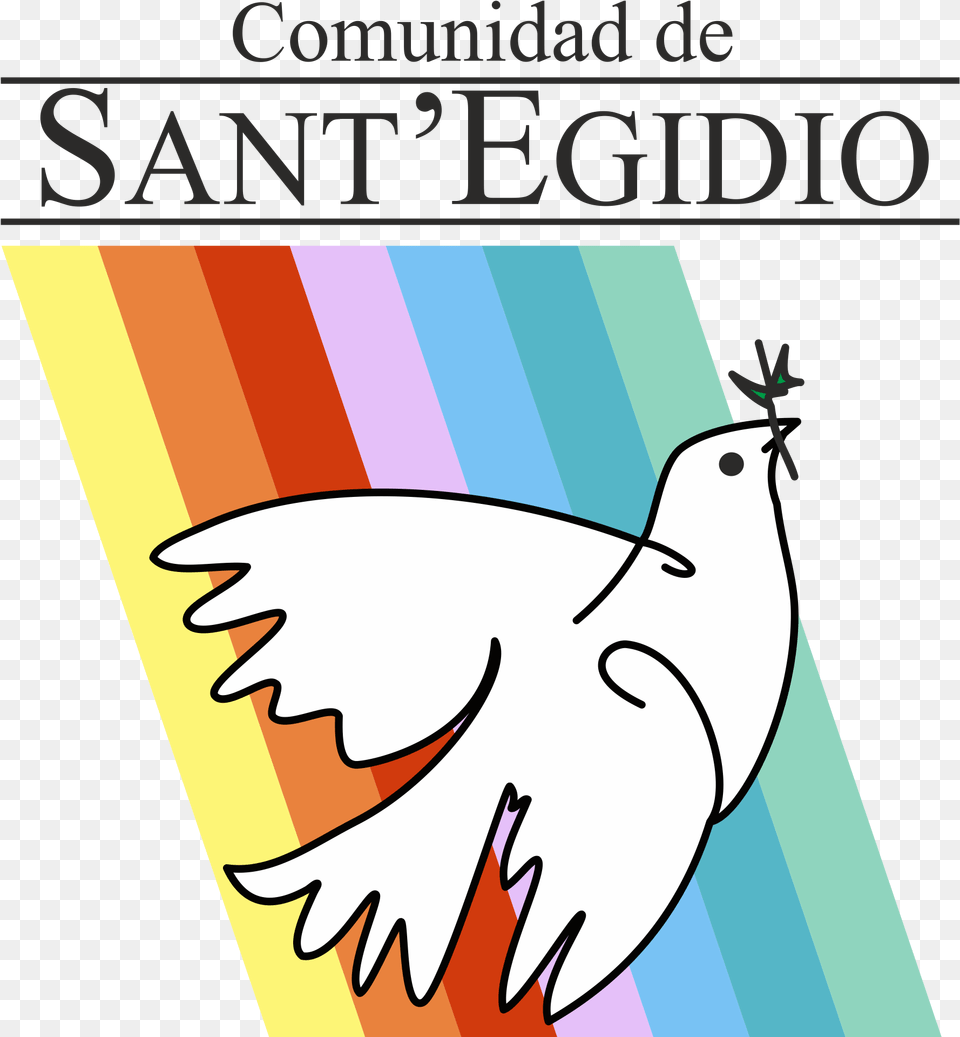 Community Of Sant Egidio, Animal, Bird, Pigeon, Dove Free Transparent Png