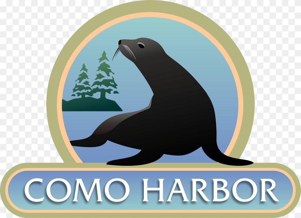 Como Harbor A 20 Illustration, Animal, Mammal, Sea Life, Sea Lion Png